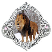 43898d214bff166ce50ca1d060245a56