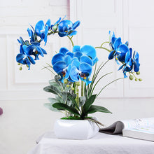 0897557dbf92325fcd15aafb8e95a70a