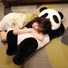 7bed3312f448c5713a6f6b0e274c8212