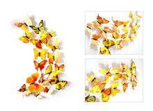 3d24db8b54405e194cdf21f1e793214d
