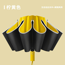 1d81bfe66fd55ec12e88b0ab80558031