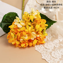 e123bf0cb4b6494be9d2944faac92b78