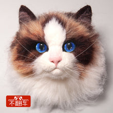 2567ab60684b3a2eb5e02e73bb5b11cc