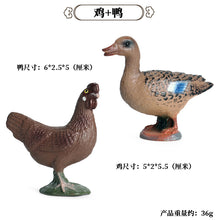 302fa6d0ac94221f93a583509c9b09a1