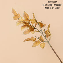 aa7c4671fbed230a7fa9bde7c3674460