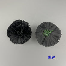 23a4358ee5c551ccbfab2df0ea38f2f6