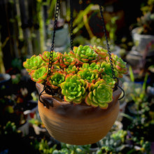 3c14c8a312edc4ee263f81d79d415d66