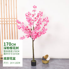 978a0533d394e4053b8a475c71be074e