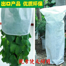 8c4fadf72a581299b3adee9e2553ff13