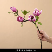 be91e1a95360b1f21eee00166247c7d0