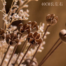 7f20952f8a6d79fc564eca9e2846ae70