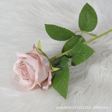 930a9c9e169d3ca0ab682d1c609f11bb