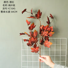 5eac167cd5ae9e5ccd18c91d0ed8df84