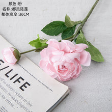96b6e55381625fc2a20ae07c2d46a5f5