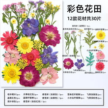 81c553b1d1f0f5d5cff9a016856ecd3c