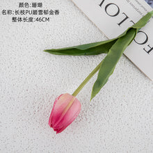 4cb8c42a72d0277f87fd2db7c6b35913