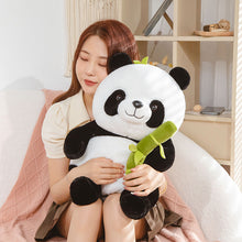 57252a2d5d0b80caf52761fc6c1ca733