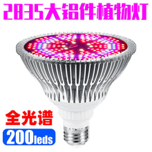 b406f88195964c99014560a47f1c5194