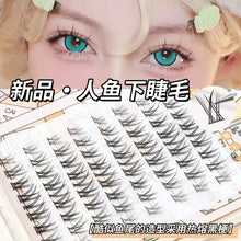 af39e5367ee66b7cf2cfd007b146df5e