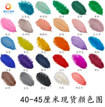 788d1ca647cc95747441ab4430516b97