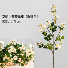 c29d681bdc8d1f8c75512643cbf969d9