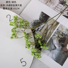 afed84f86a6c588a4c87df3be8fae142