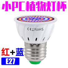 54e1db9cfe5af5ea1ef9fdc0db0202e5
