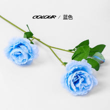 1cbabfeef935df9ba45c616aeb690f6a