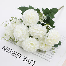 8f4ec1904f64312e2a45c3d9b10d6b1a