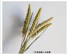 7cfeb0a7944e17f82a88beea5e8315ec