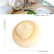 034ae80a8fe2abc794efc2a2a6f5f428