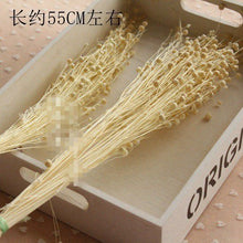7961ee6c7011d3620e3a69f10c9e5df8