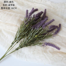 c96089ece3bbb7bf43fdd3c6d4c88a7e