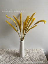c8b28b0332060ade82476f07de9d77bc