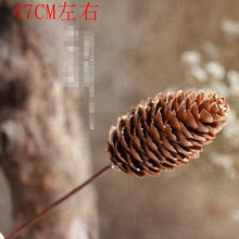 2bd70f8566fa64682b9a1841de2302d0