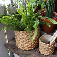 c5d1d0f2f50d7daaaa1f13ff000ece47