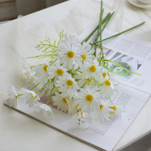 39c0e95babbe8e4b1b4d2b7b894e588e