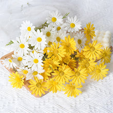 ee8b3a328c5cdff3eaa1e862919f207f