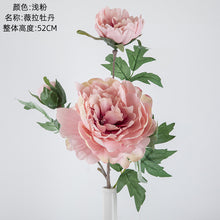 b54ddc98856f7beac9b39d1bfc74a0d4
