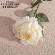 49d1a0a4f23635b7d814e85ba8660f58