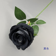 6ab577fb645c6cf8efabb38ed95bfc87