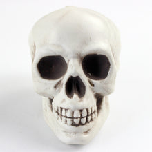 01f49f189938c5d39027d17270015ebb