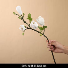 4ab1a0d84983448fd3d5b62a6b184456