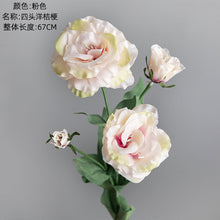 68e082b5f200450f6d789e239035c507
