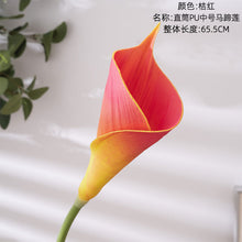 d55e3c97813e0e08dd572f31e81c63fd