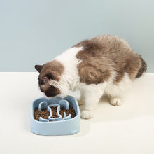 5d01d629fab50602cb6ba22086b7937a