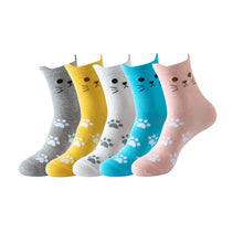 c242c9949ff94b8fd9816acabd216042