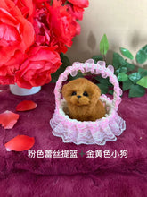 82ef59366e094cd430cc2e7902c6d7c1
