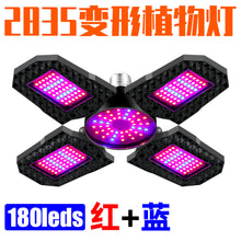 d52869b238620e8f093be44fa397d8e3
