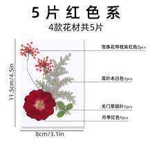 db5d23b0476c0d2f19a31df537f590c0